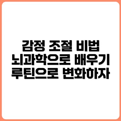 감정 조절력 향상시키는 루틴, 뇌과학 기반 팁
