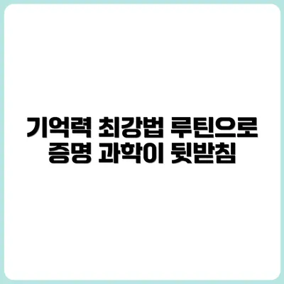 기억력 향상에 좋은 루틴, 과학적으로 증명된 방법