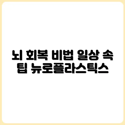 뉴로플라스틱스: 뇌 회복력 높이는 생활 루틴