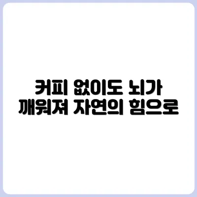 커피 대신 뇌를 깨우는 천연 루틴 레시피